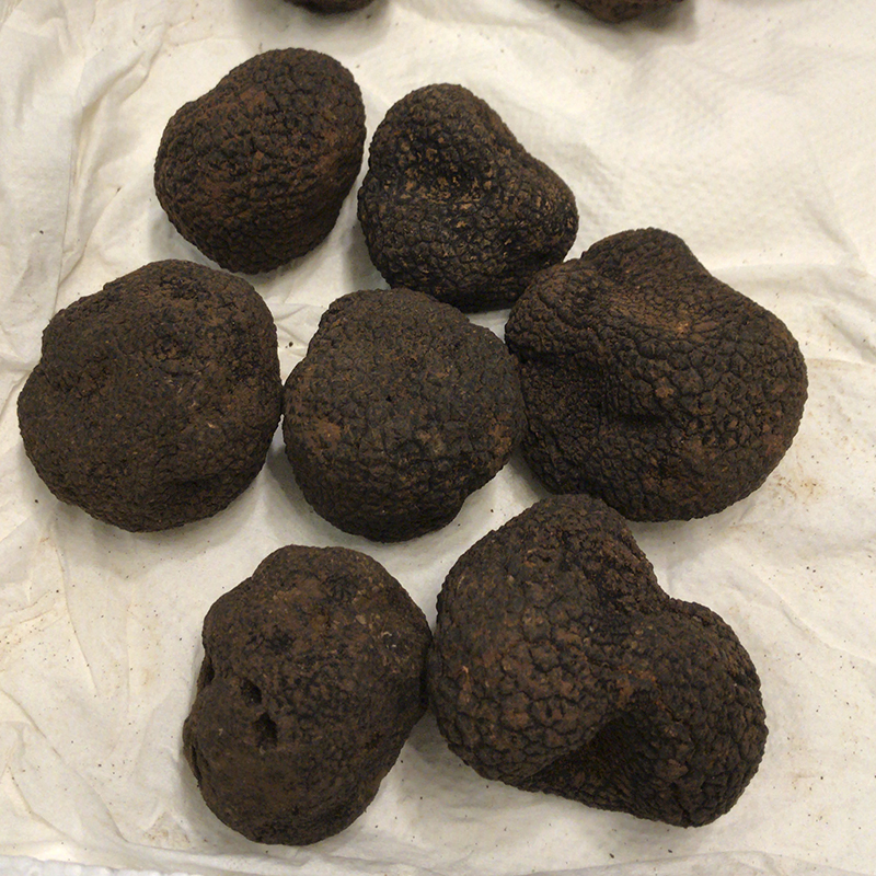 Truffes